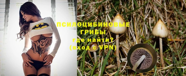 СК Аркадак